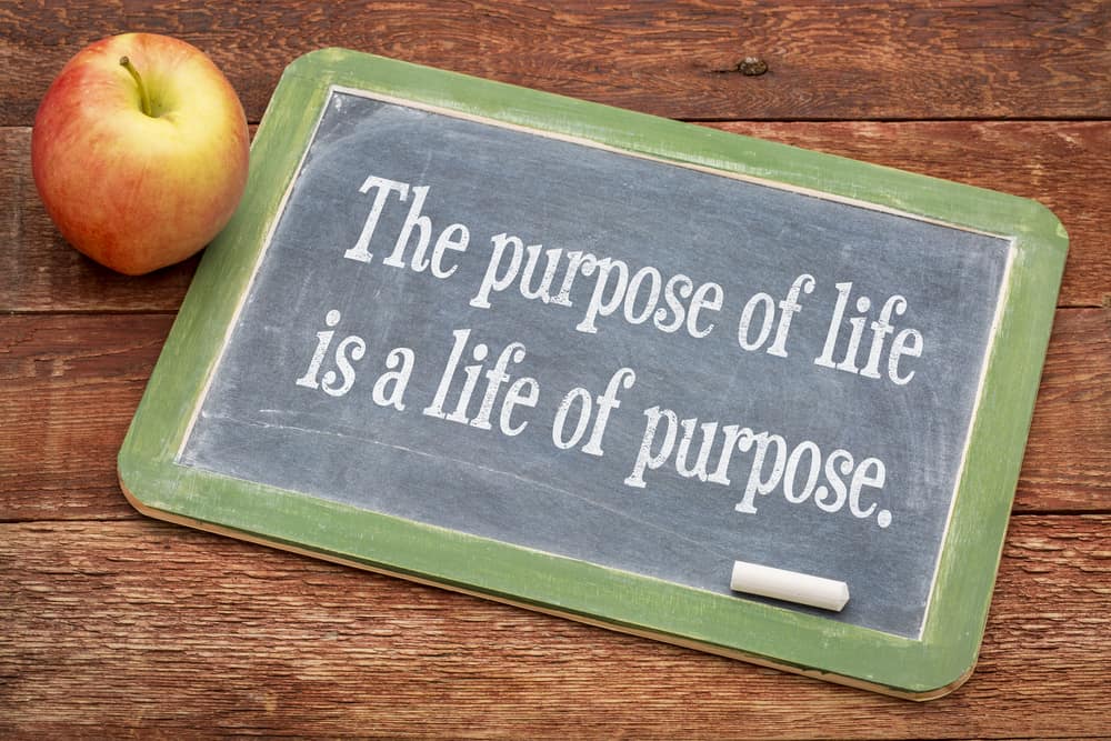 purpose-of-life-quote
