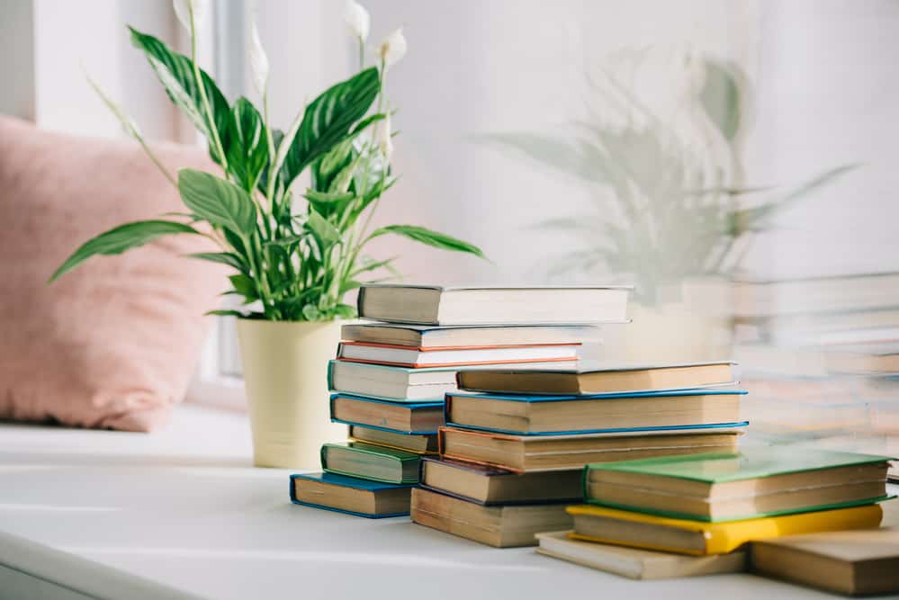 books-by-window-sill