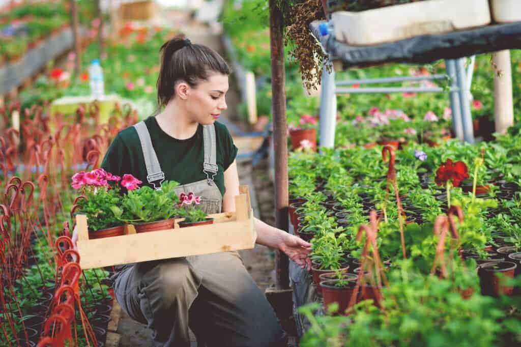 gardening