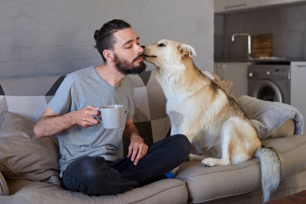 dog-kissing-owner